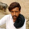 _kashi_bhatti_