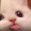 20_emy_02