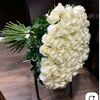 dr.babayeva0344