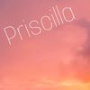 priscillahansenbackup