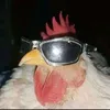qwwwwww19