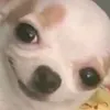 _.k4lash._.exe