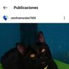amaliadelcarmenes