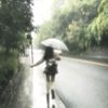 say_bylike