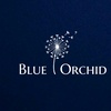 blueorchid.bd