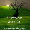 mohammed_alii4