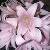 user245120742