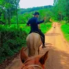 dionatandamaia