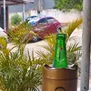 romario8441