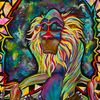 fr3akyrafiki