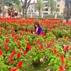 thuy.dung7953