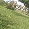 cataleya_15_40