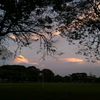correa_isa