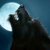 werewolfbynight1