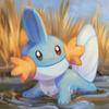 afellowmudkip