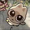 kook_thv_
