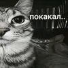 ebatel52_online