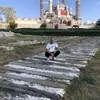 dimitardimitrov343