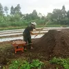 hanytonank