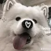 aliee_chip