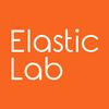 elastic_lab