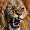 badshah_khan017