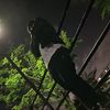 haruto0706_2