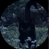 filo_aurelia.gcp