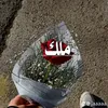 user92005327