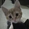 kimmylovesliann