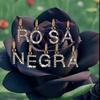 rosanegra4579.504