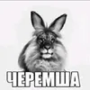 znzbdnn