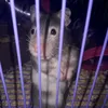 mary_99991