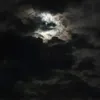 torestargey0