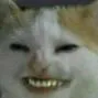cringe_man69