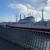 hermon_07