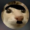 cojonez_colgone