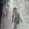 officialwaterguy