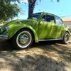 fusca_azeitona_73