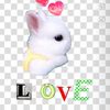 cutest.couples_initials