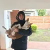 nawelpalermo