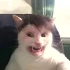 amjy777