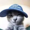 yatehz