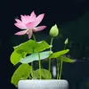 becomingher4444