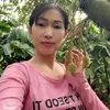 tructhao_1990_merok