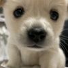 tenni_10
