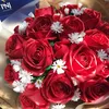 joyce.trieu
