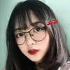 lami069