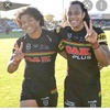 nrl_panthers.bj