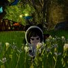 pandadribble